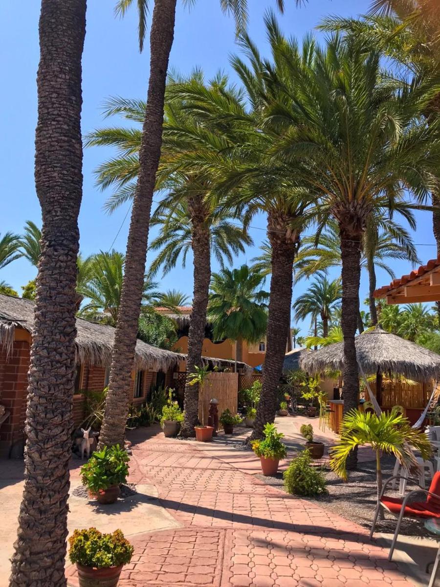 Sukasa Bungalows - Housity