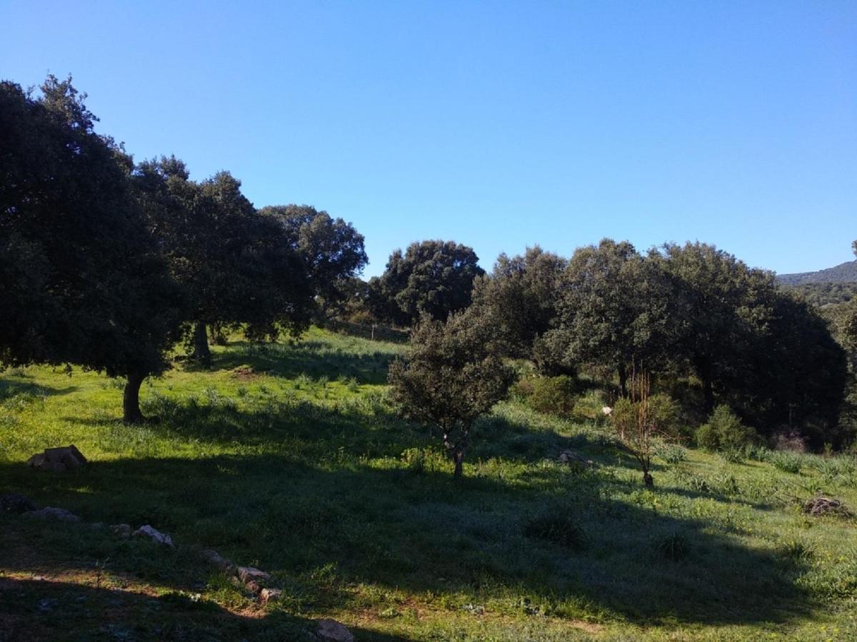 Sherdana's - Housity