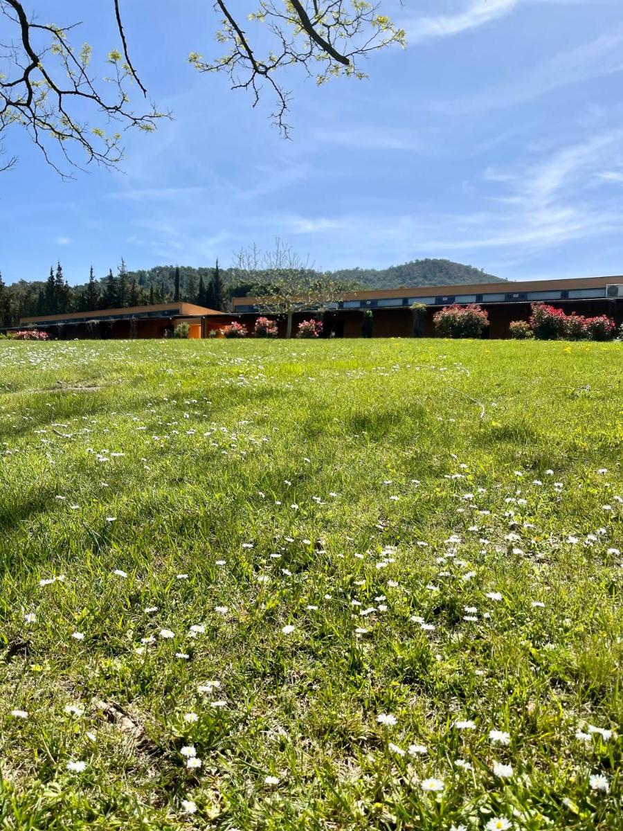 Paisaje cerca de este hotel