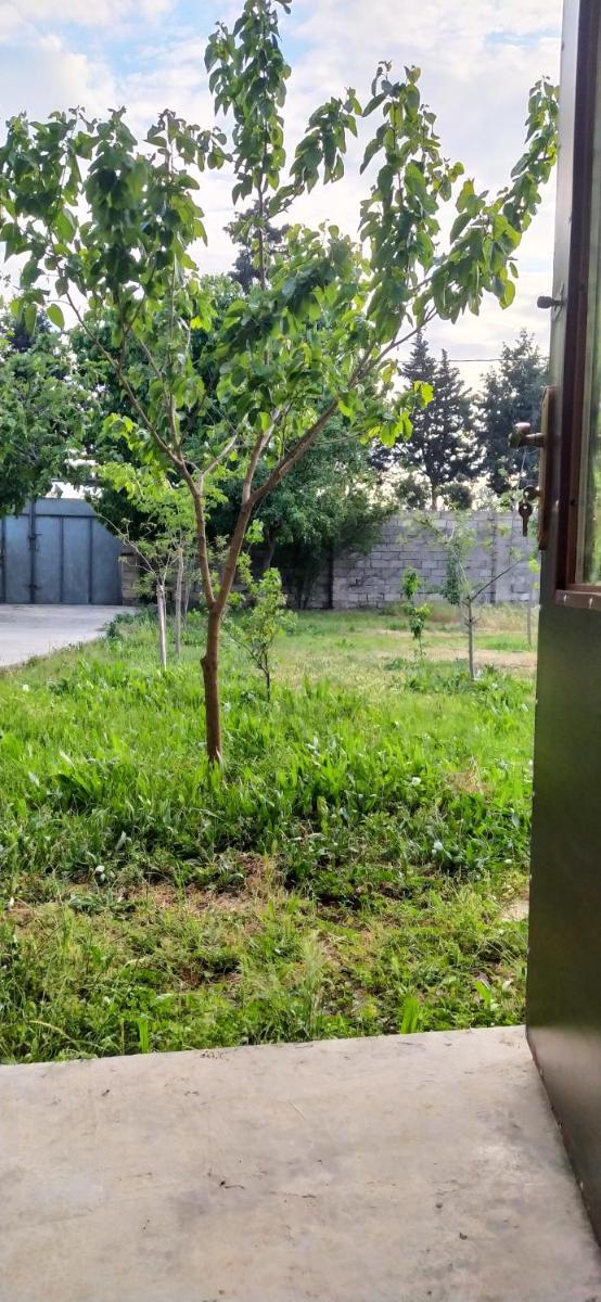 Guest house near Baku airport - Housity