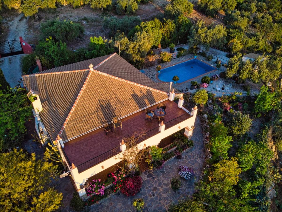 LOS CACTUS - Housity