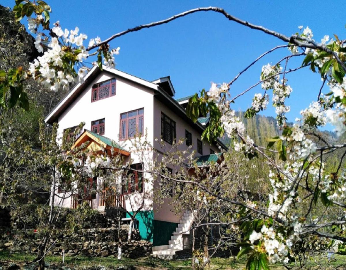 Cherrytree Resort - Housity