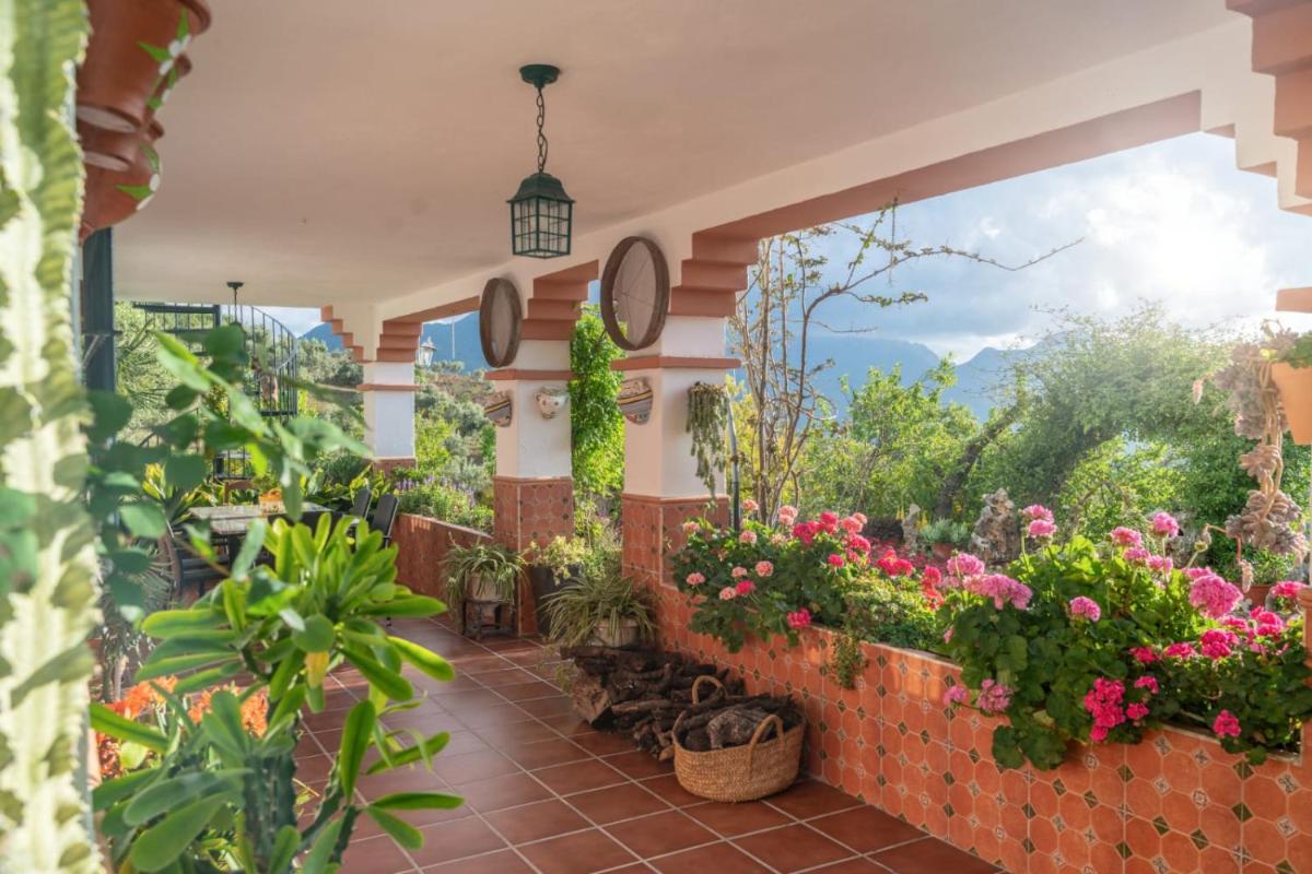 LOS CACTUS - Housity