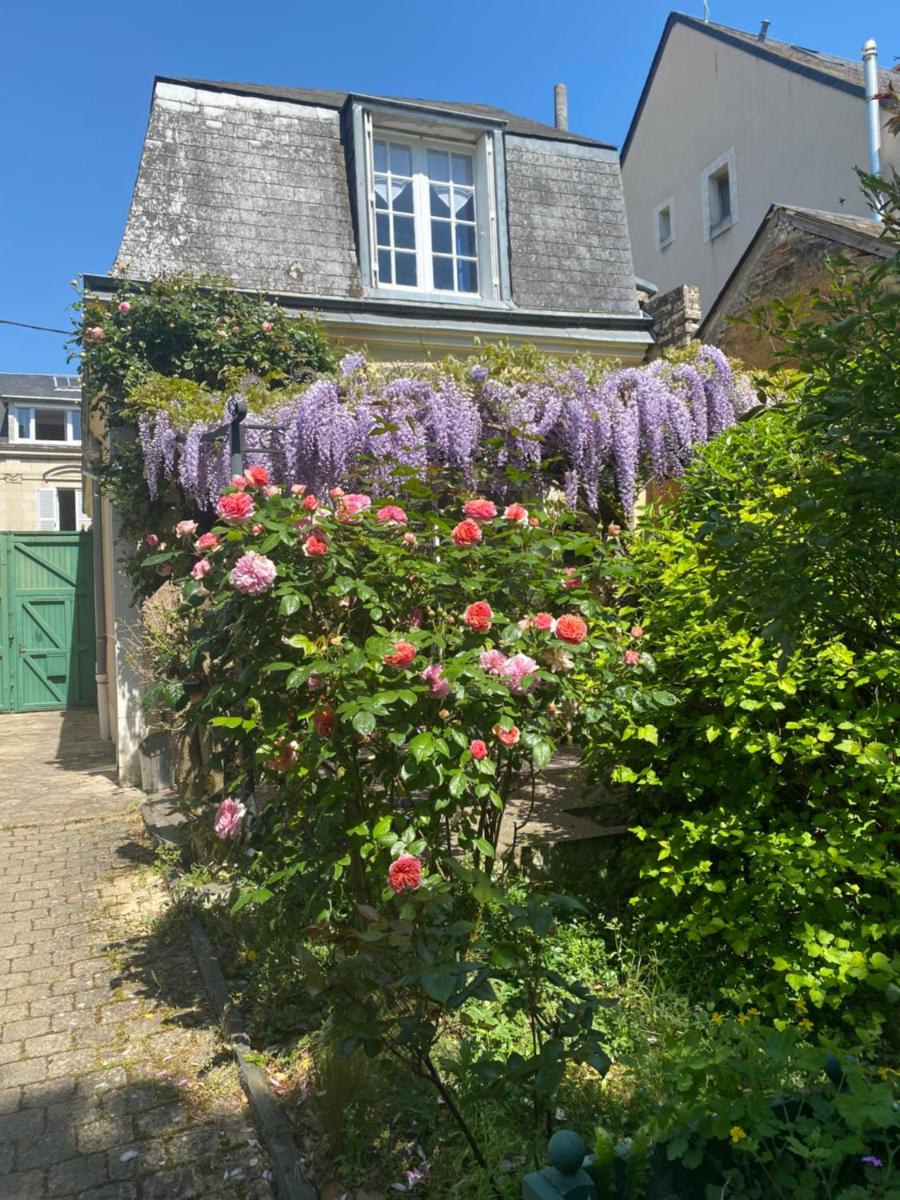 2 chambres, 4 a 6 voyageurs en centre ville, à 5 mins du zoo - Housity
