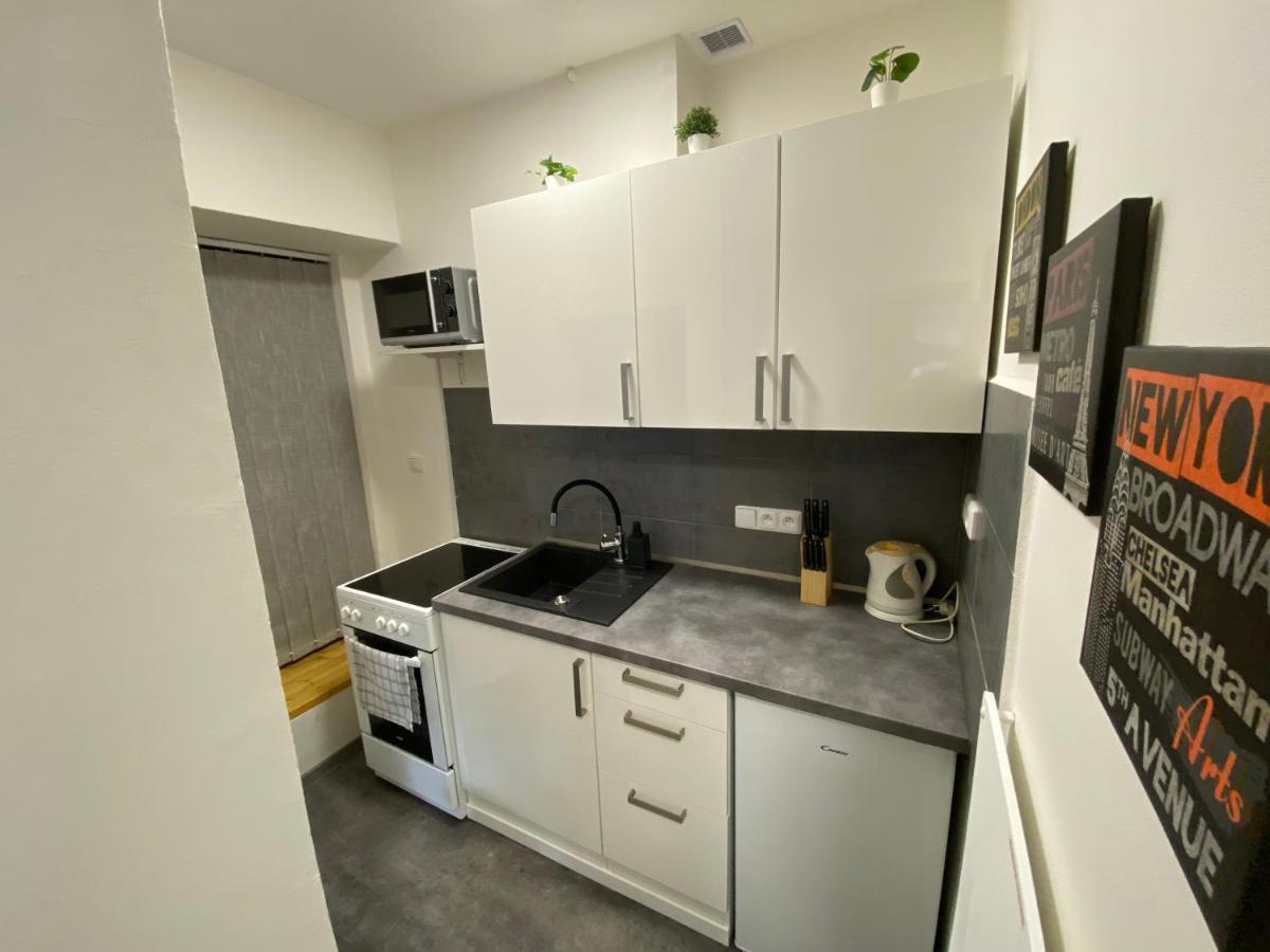 Downtown Flat under Spilberk Castle - Hizvo