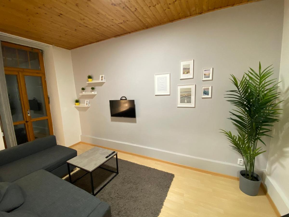 Downtown Flat under Spilberk Castle - Hizvo