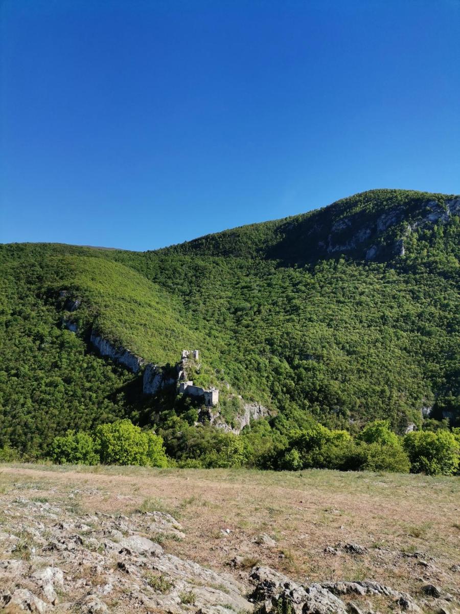 Apartman ST.Nedeljkovic Sokobanja - Housity