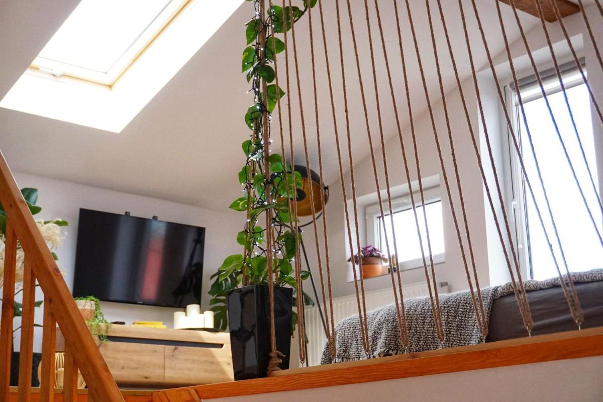 Loft Żuławy, apartament na wyłączność - Housity