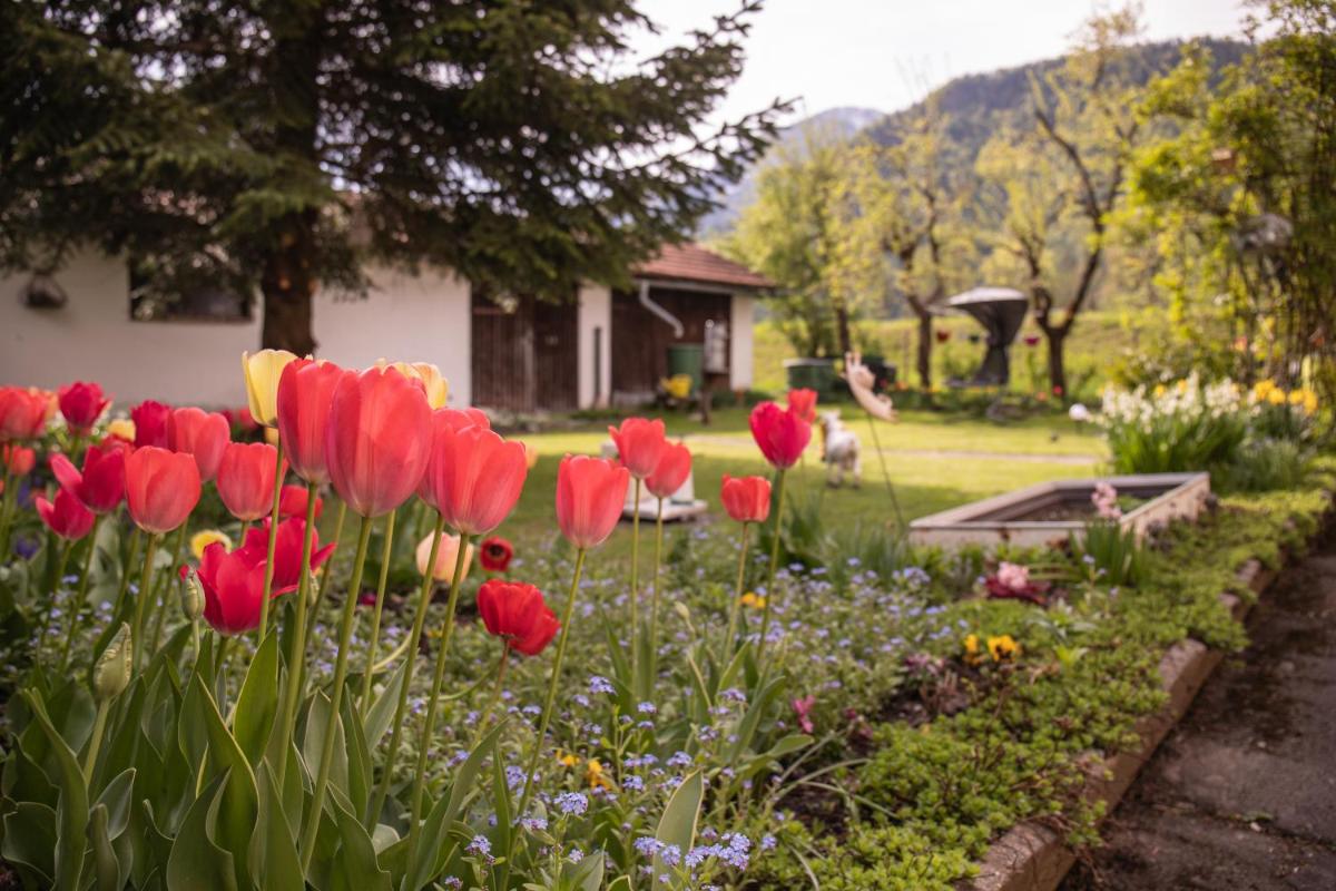 Ferienwohnung Wittenburg - Housity