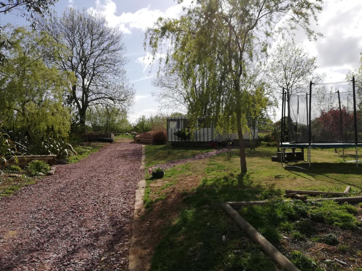 D'ici et d'ailleurs - Housity