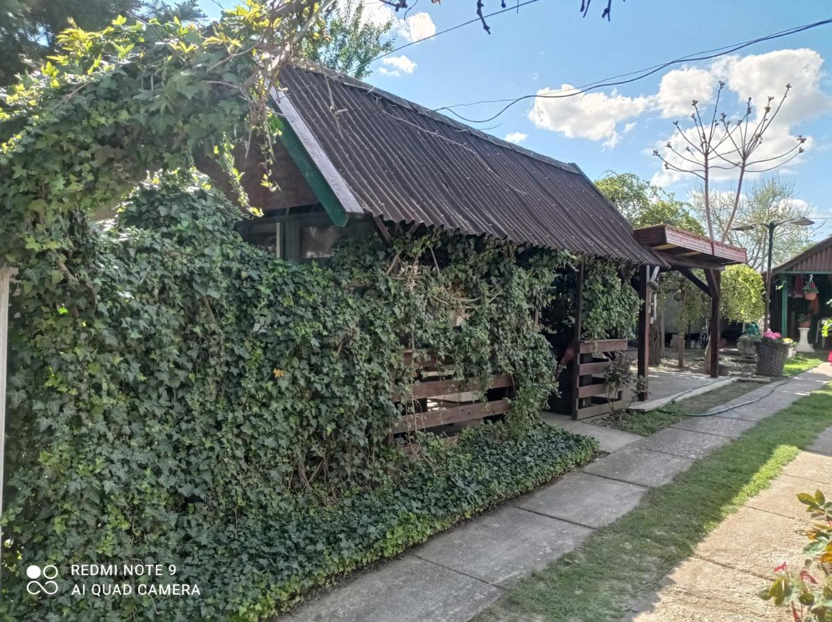 Olga Vendégház - Housity