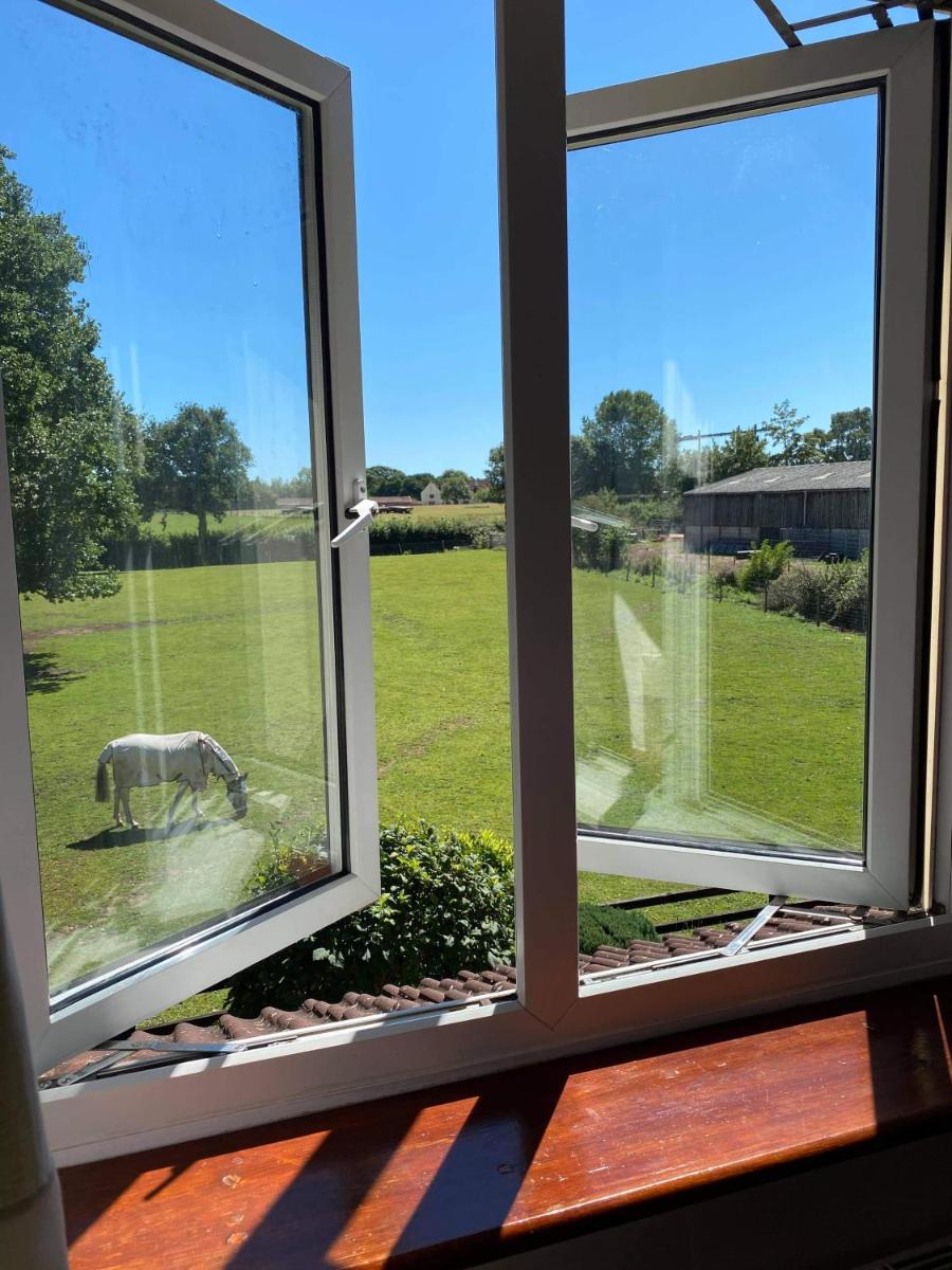 Marsh Farm - Housity