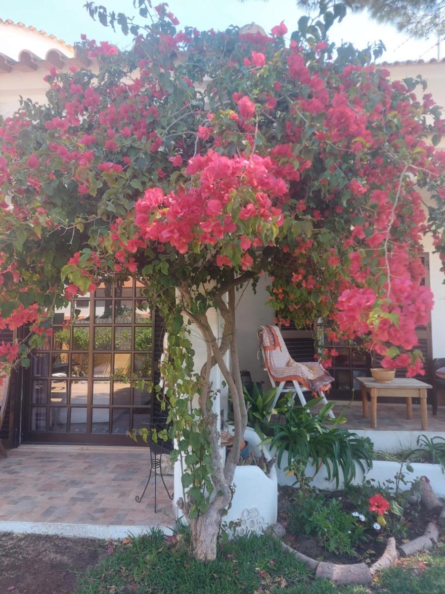 CASA 19 - Housity