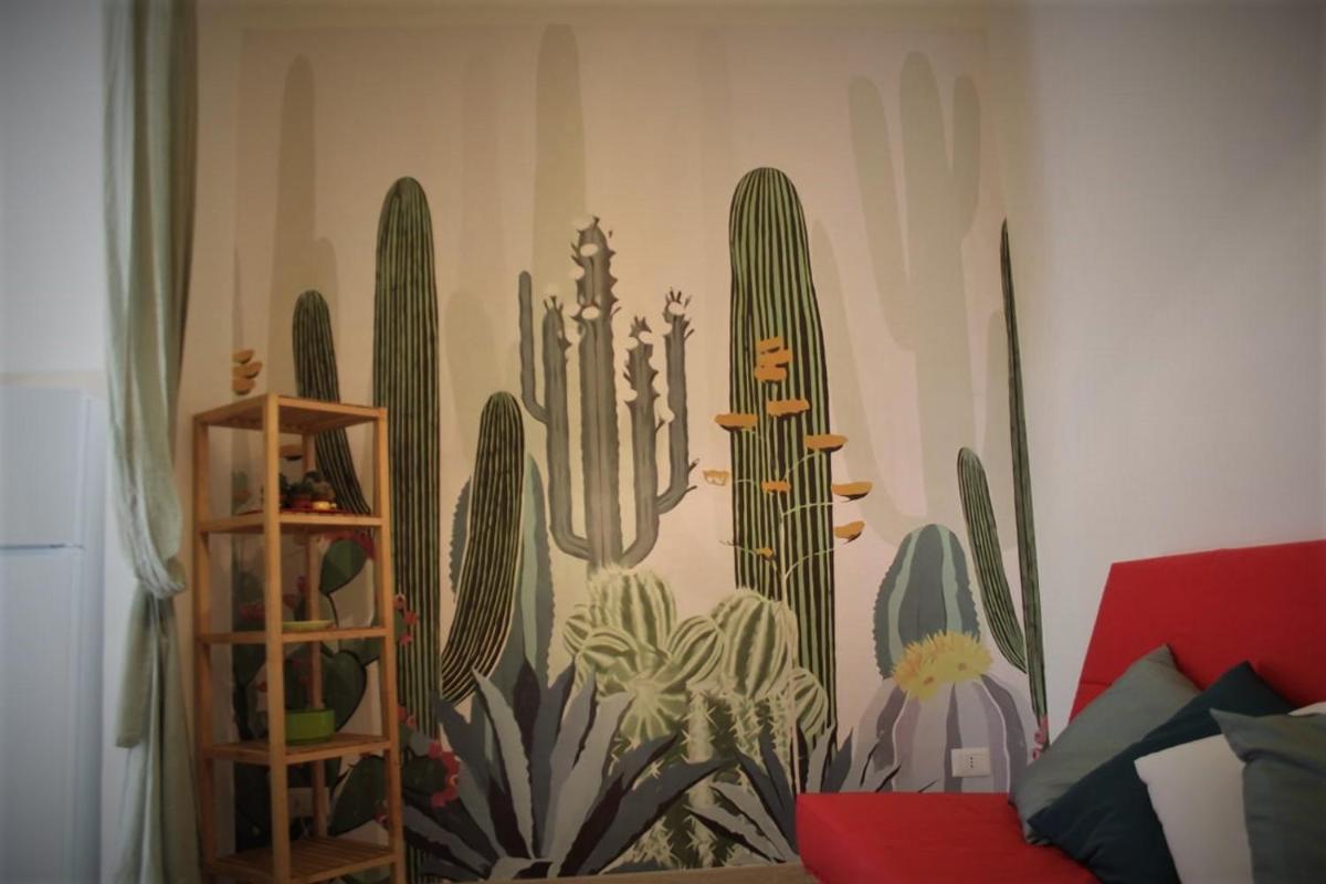 IL CACTUS - Housity