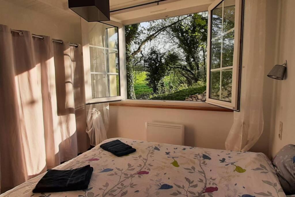 12 RDC Appartement 2 chambres jardin terrasse - Housity
