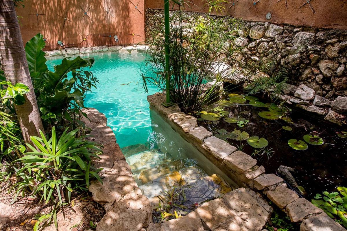 Aqua by Majikal B&B - Housity