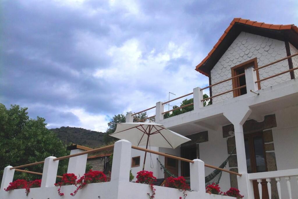 Casa dos Vinhais - Douro Valley - Housity