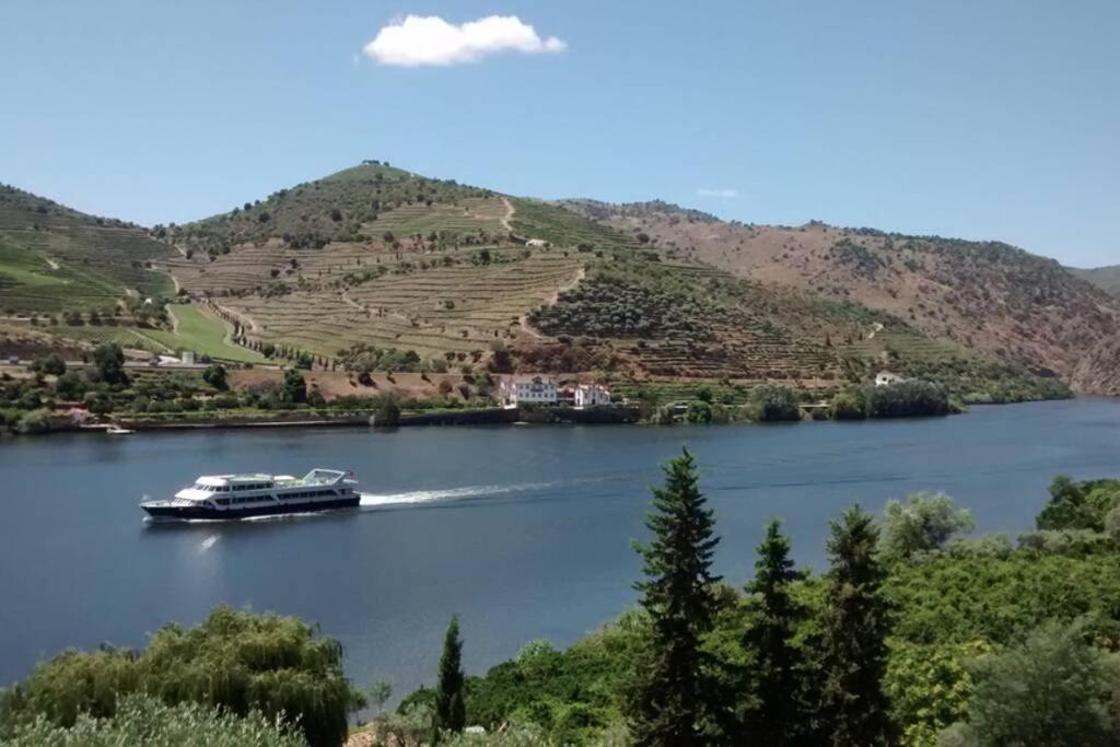 Casa dos Vinhais - Douro Valley - Housity
