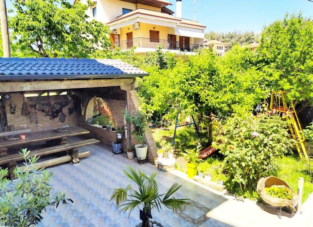 Alexandras cozy apartment Ioannina - Housity