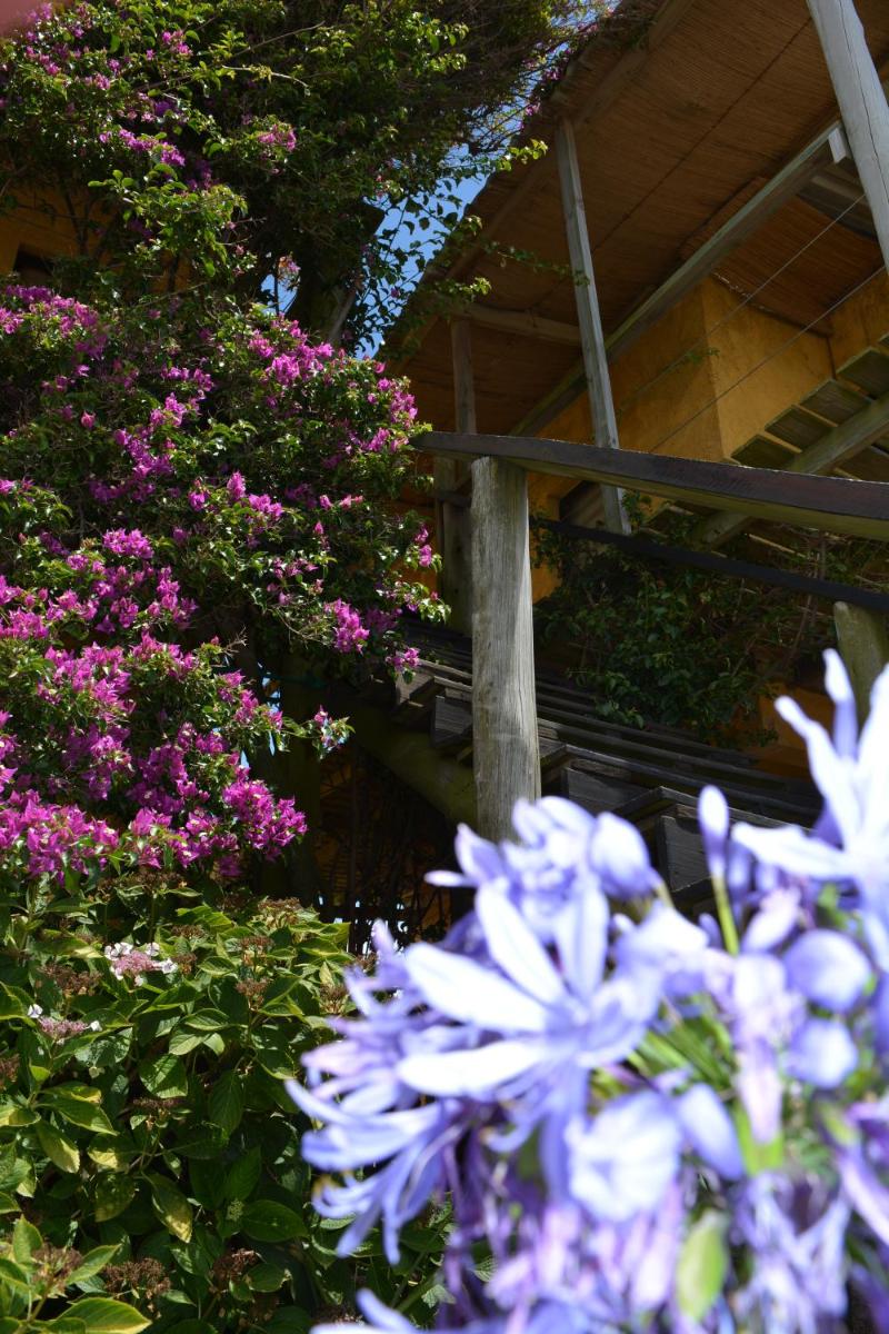 Posada Biarritz - Housity