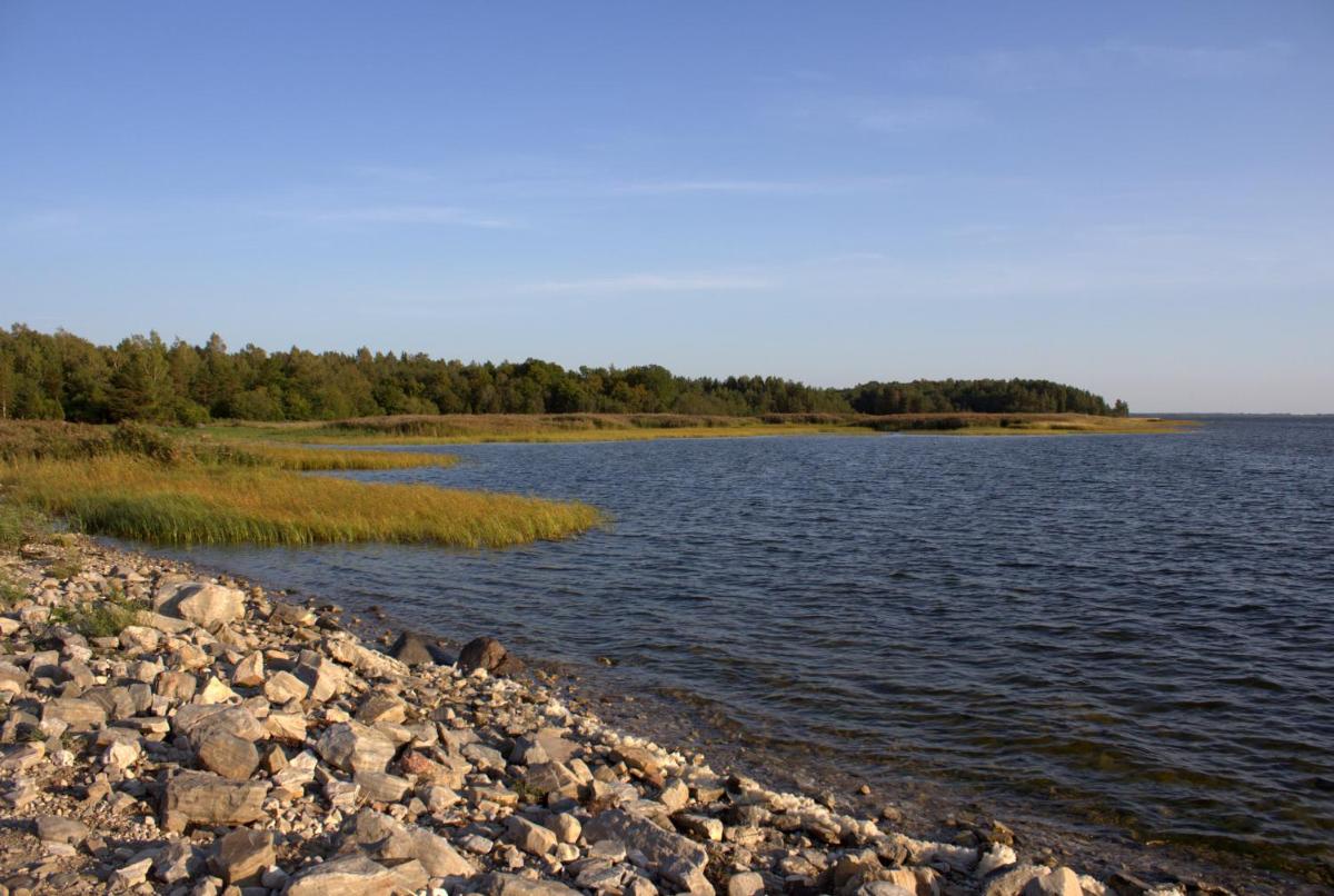 Ranniku Puhkekeskus Coastal Cottage - Housity
