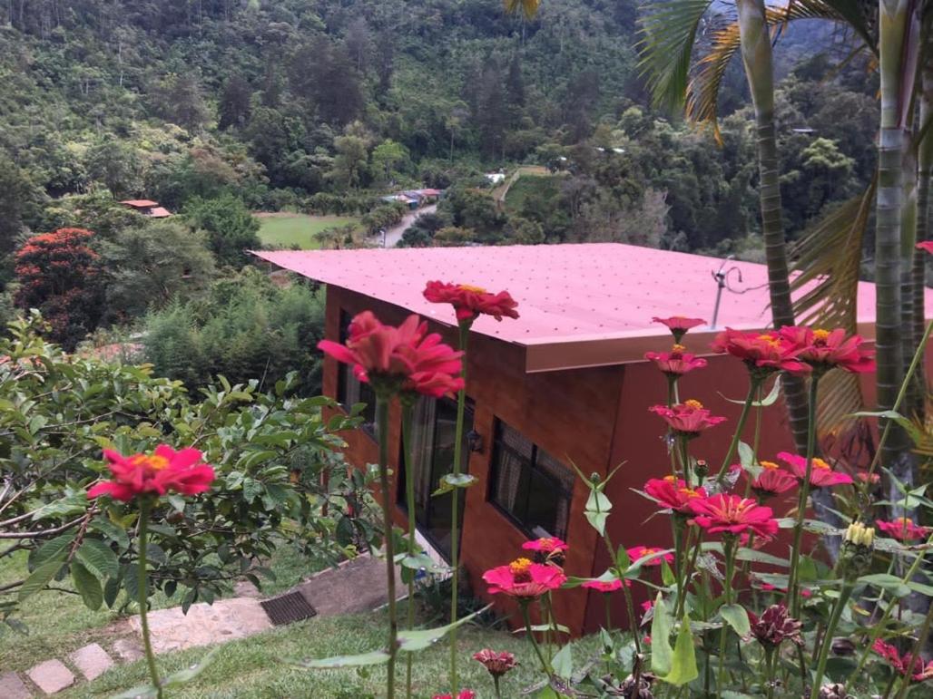 Navarro mountain - Housity