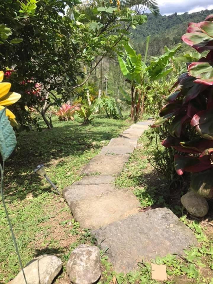 Navarro mountain - Housity