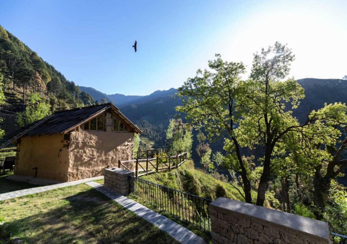 Barei Jungle Lodge - Housity