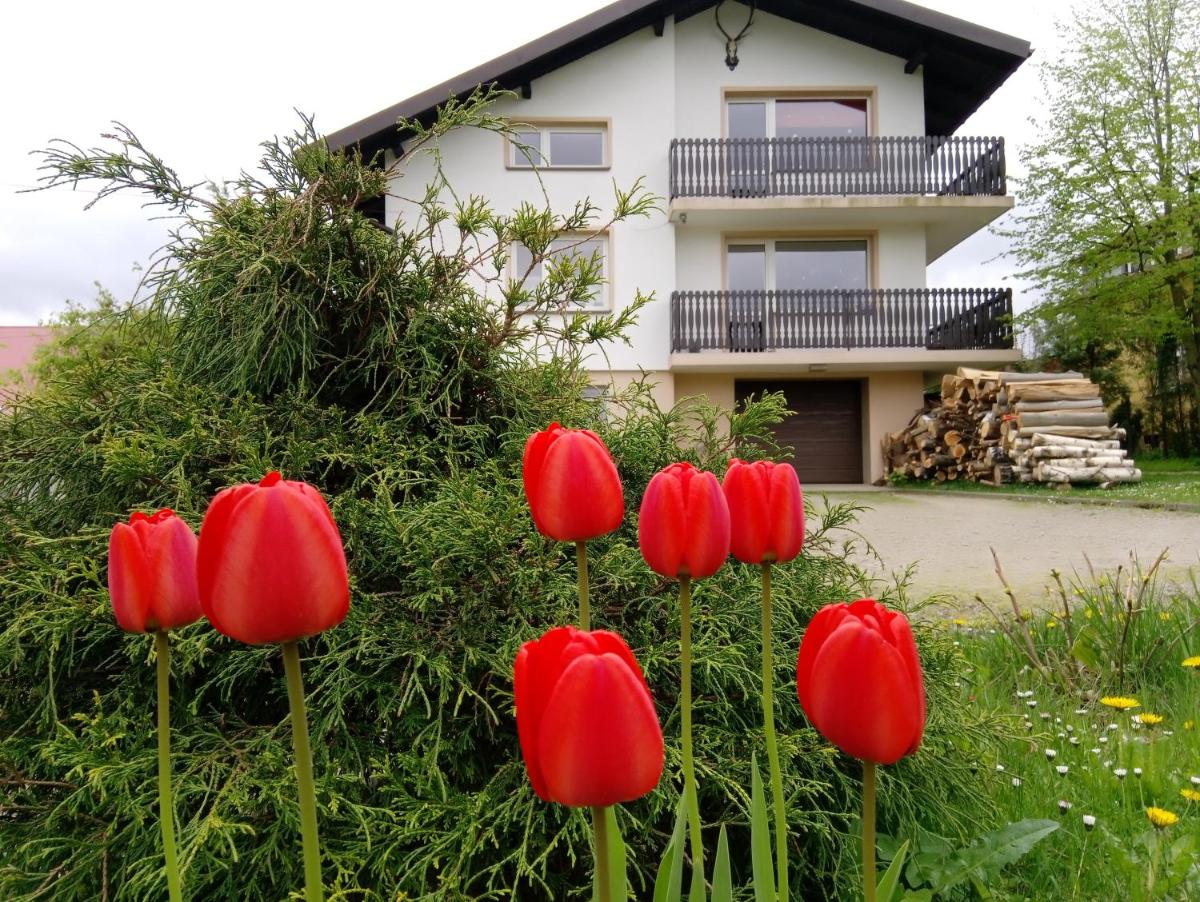 Agrowczasy - Housity