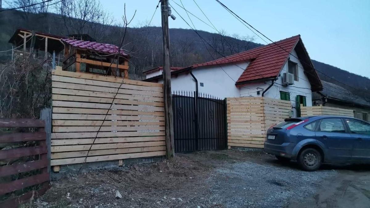 Andrei - Housity