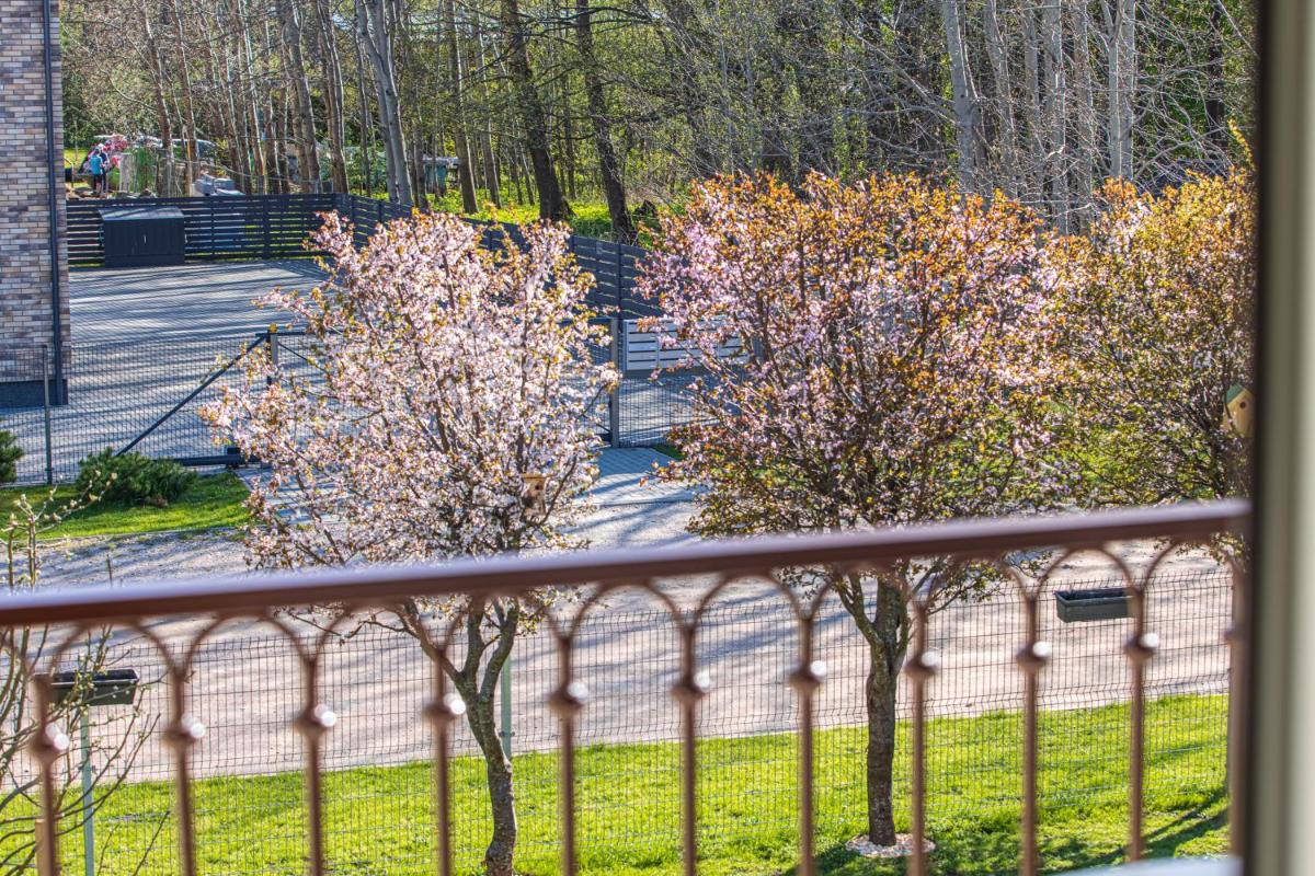 Sakura_INN Palanga - Housity