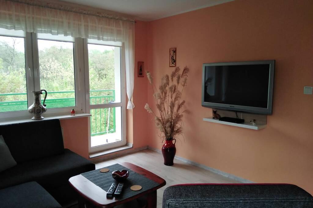 Apartament Arkoński - Hizvo