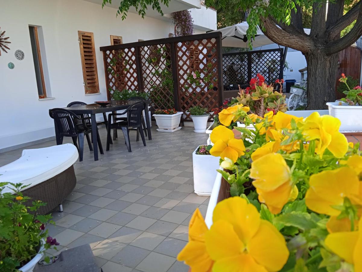 Guest House Oleandro - Housity