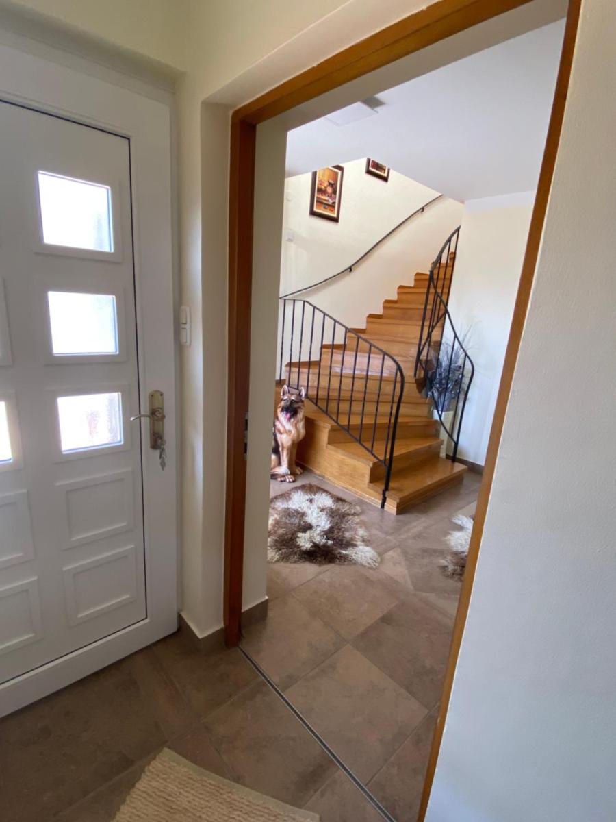 Apartment Mia - Housity