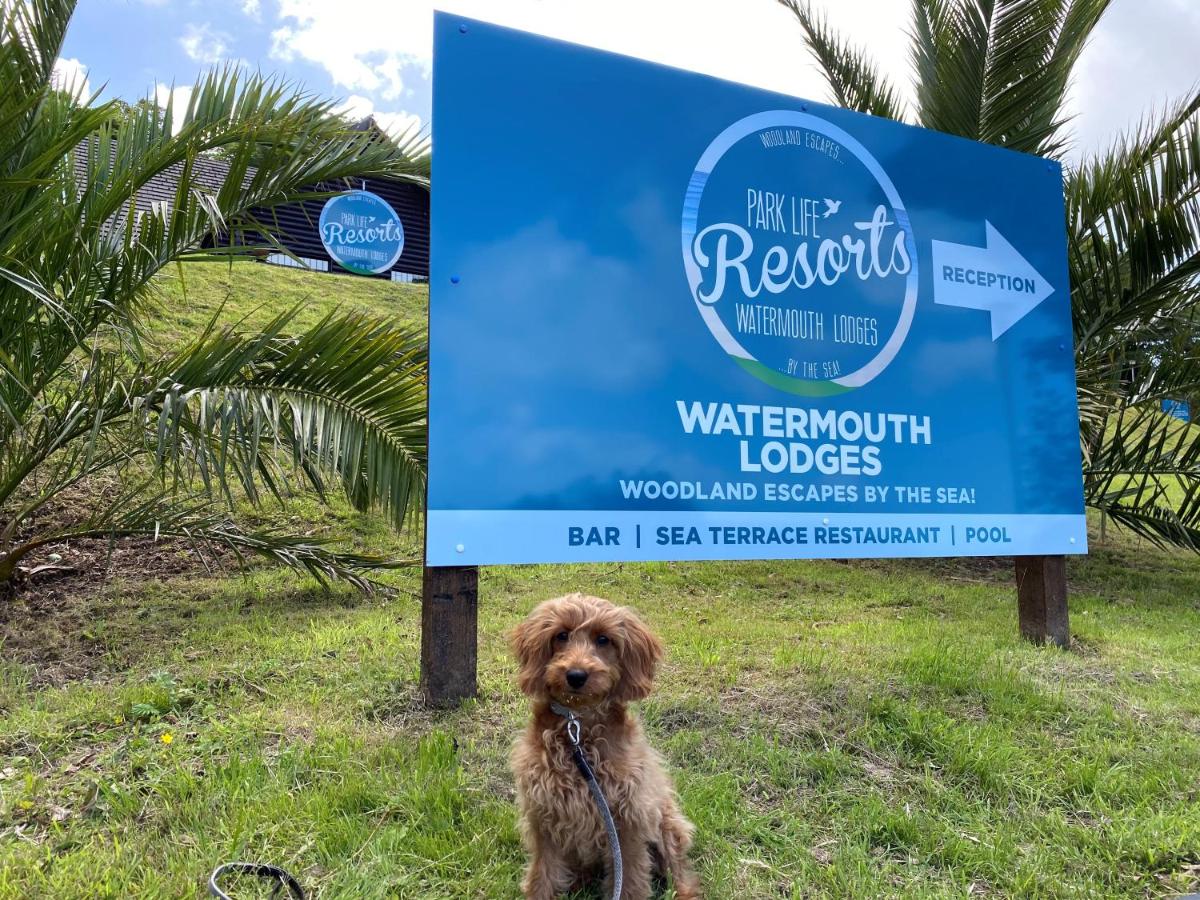 Watermouth Lodges - Housity