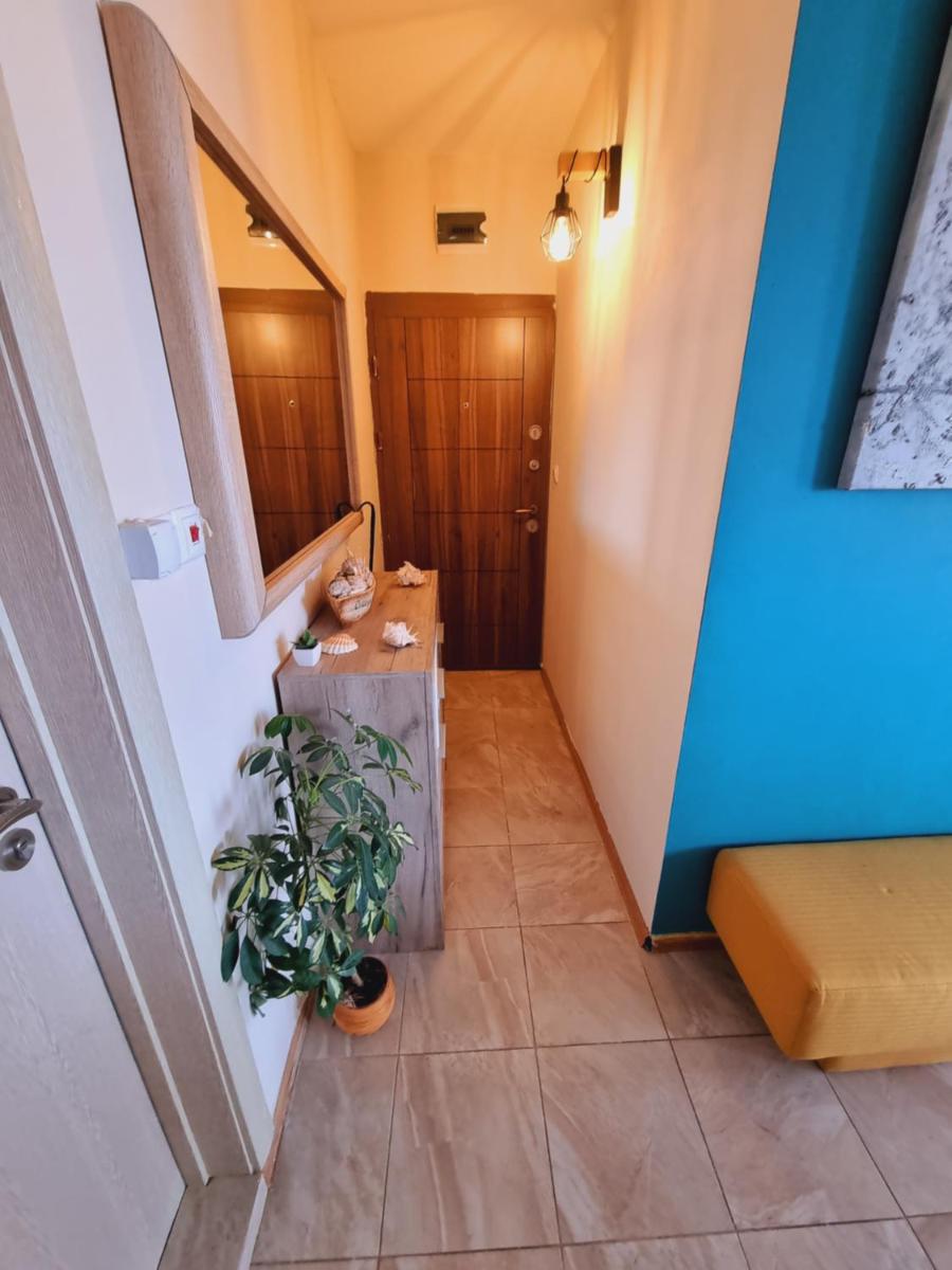 Sunny Romance - Housity