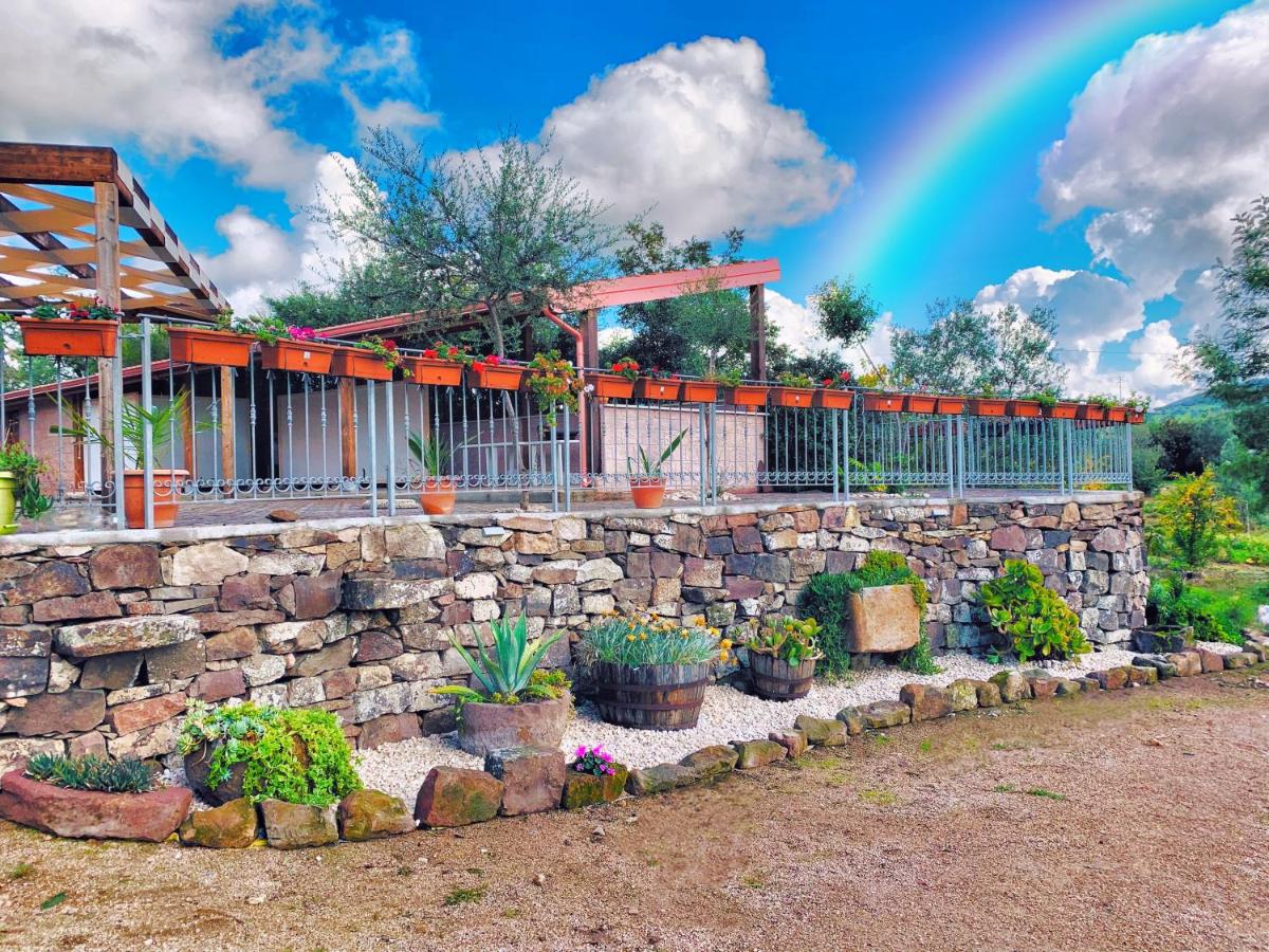 Agriturismo da Lino AGRIPIZZA - Housity