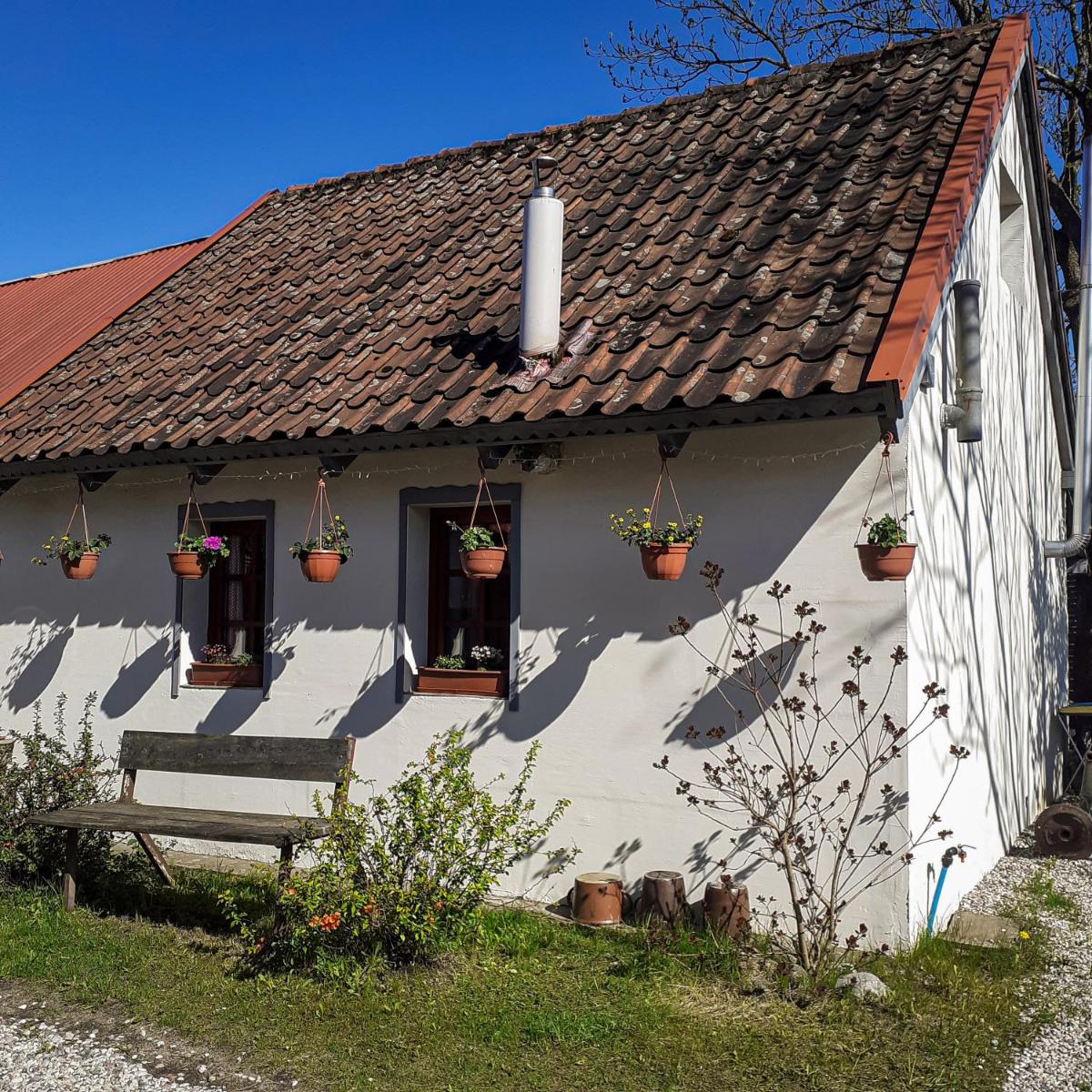 Domki - Mazurski Zaścianek - Housity