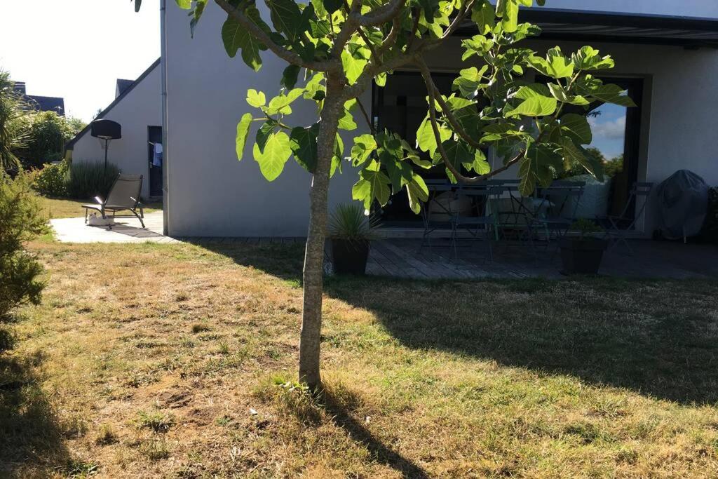 Grande maison contemporaine - Housity