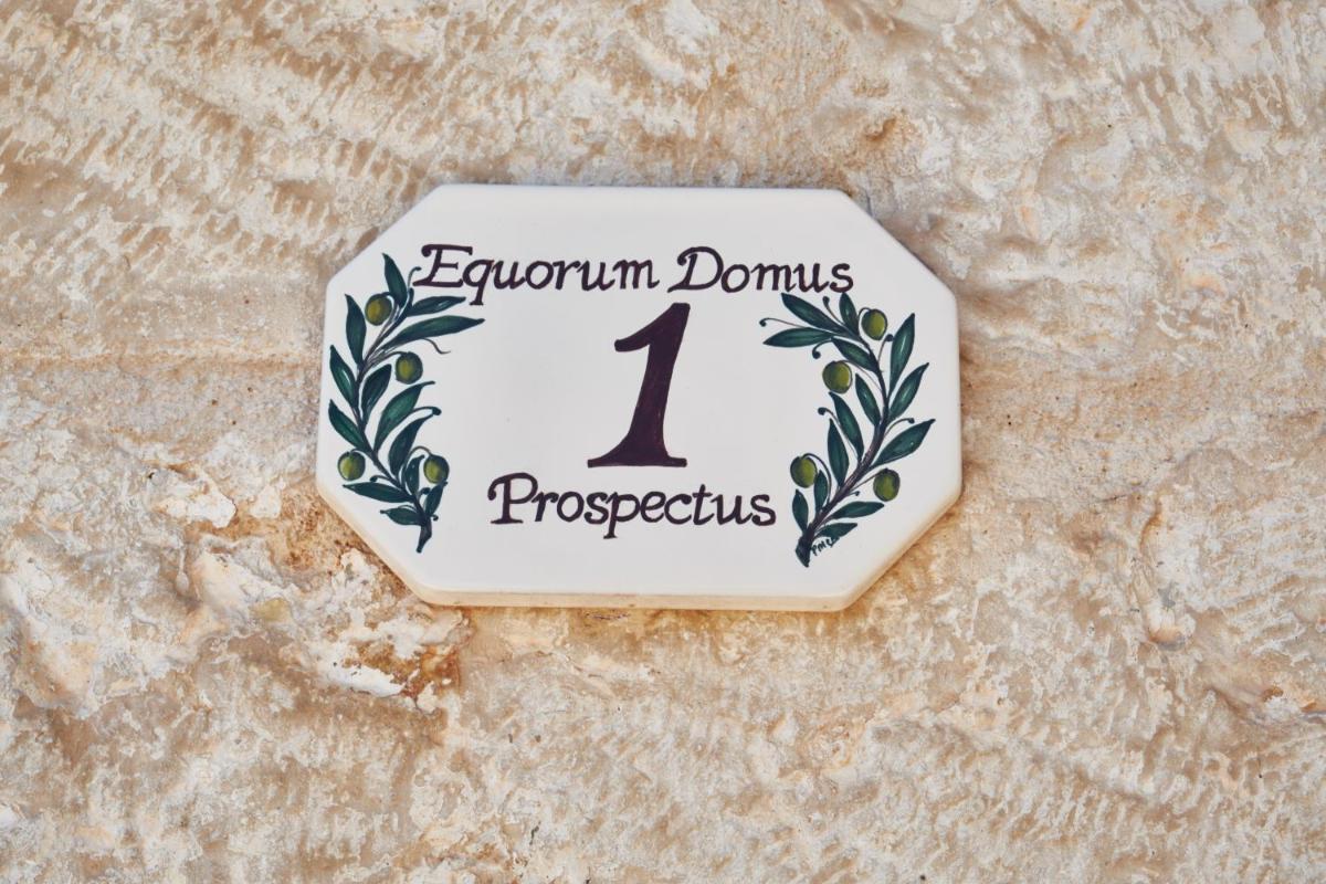 Equorum Prospectus 1 - OSTUNI CENTRO - Guest House - Housity