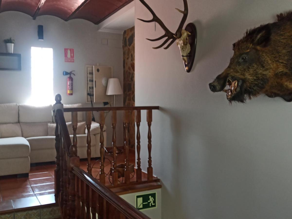CASTILLO DE LUNA - Housity