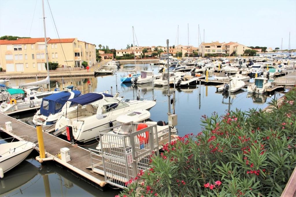 Amirauté I 21 2pieces 4 personnes - Housity