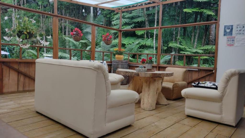 Hotel Selva Verde - Housity