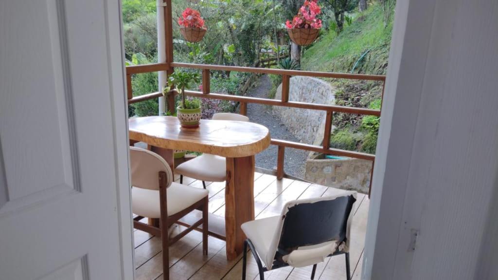 Hotel Selva Verde - Housity