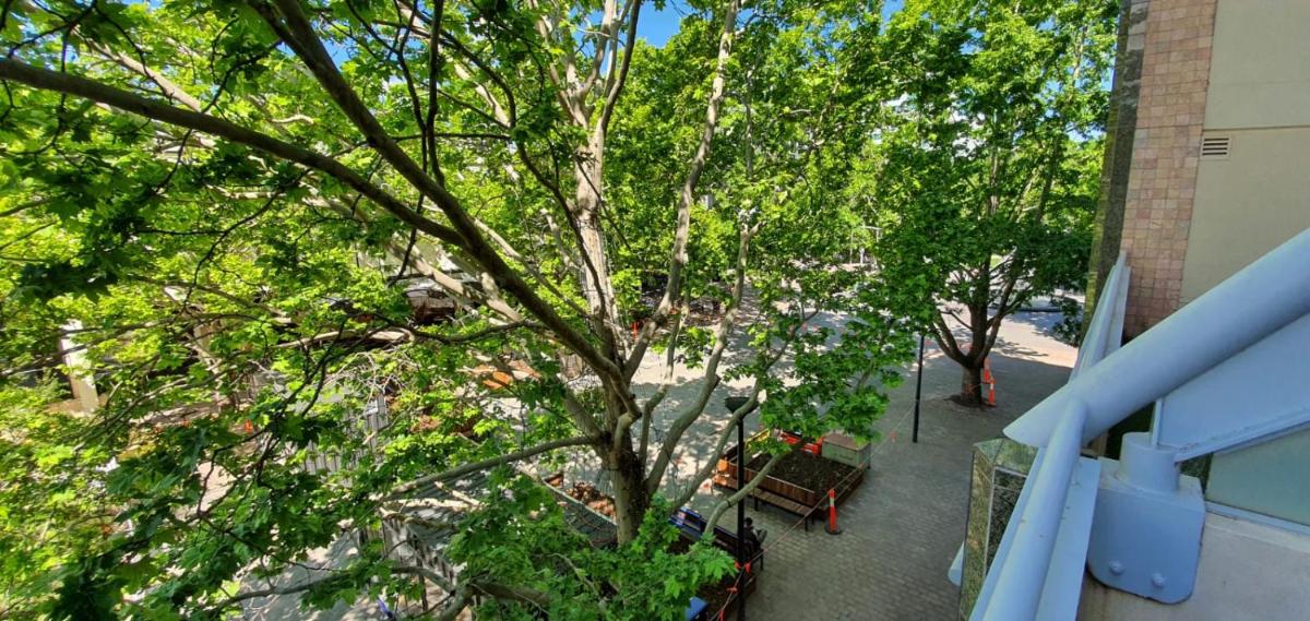 Dana-Spacious Private Room in Shared 2-Bedroom Apartment-2 - Housity