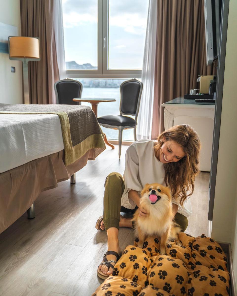 Mascotas con sus dueños en Hotel Boutique Villa Venecia