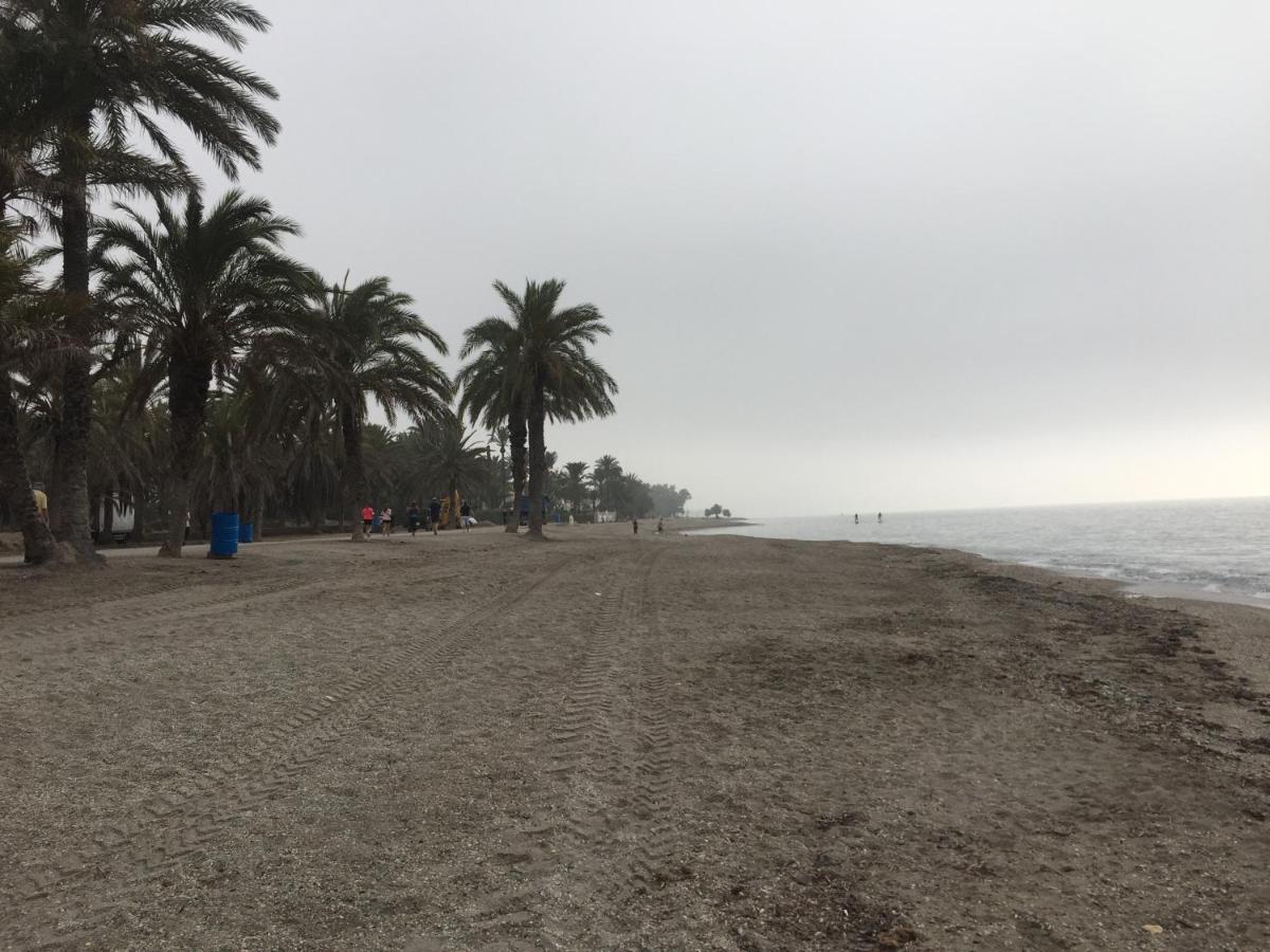 APARTAMENTO LAS PALMERILLAS-RESIDENCIAL TORREQUEBRADA - Housity