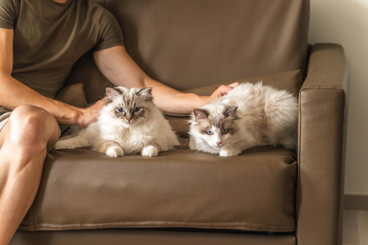 Mascotas con sus dueños en Hotel Boutique Villa Venecia