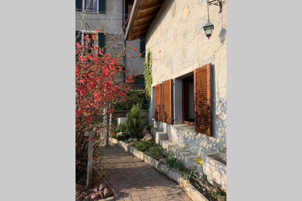 Nido di Rongio - Housity