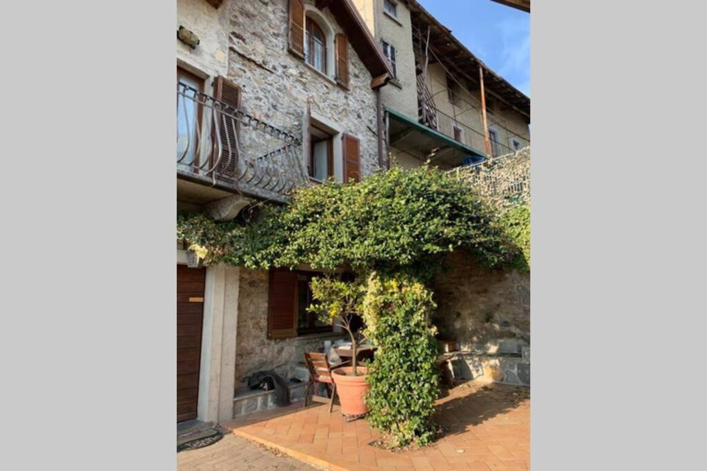 Nido di Rongio - Housity